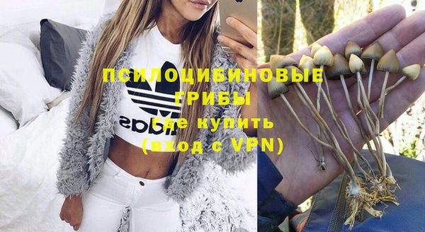 крисы Алексин
