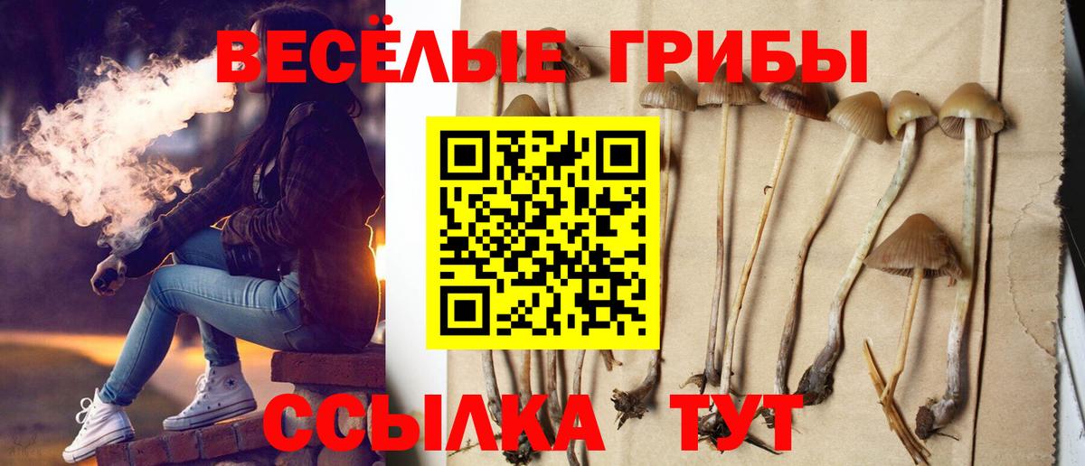 Псилоцибиновые грибы Psilocybine cubensis Зеленогорск
