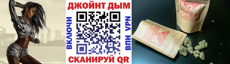 где купить наркоту  Зеленогорск  Марихуана сатива 